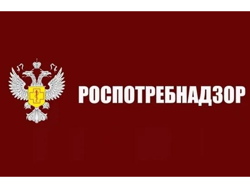 Красногвардейцы могут получить консультацию по вопросам качества и безопасности детских товаров, а также выбору новогодних подарков Красногвардейцы могут получить консультацию по вопросам качества и безопасности детских товаров, а также выбору новогодних подарков.
