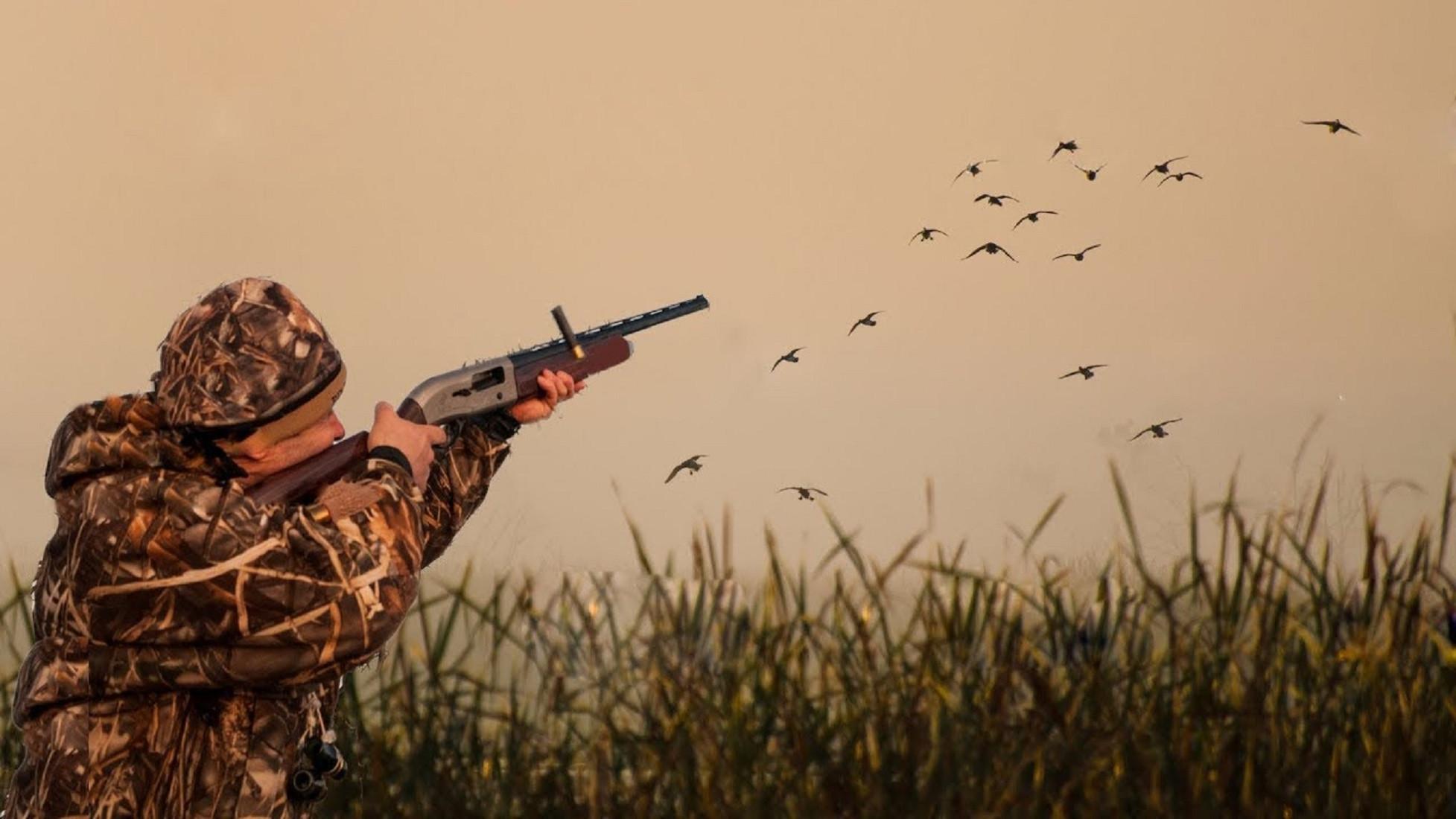Осуществление спортивной и любительской охоты на территории Белгородской области запрещено