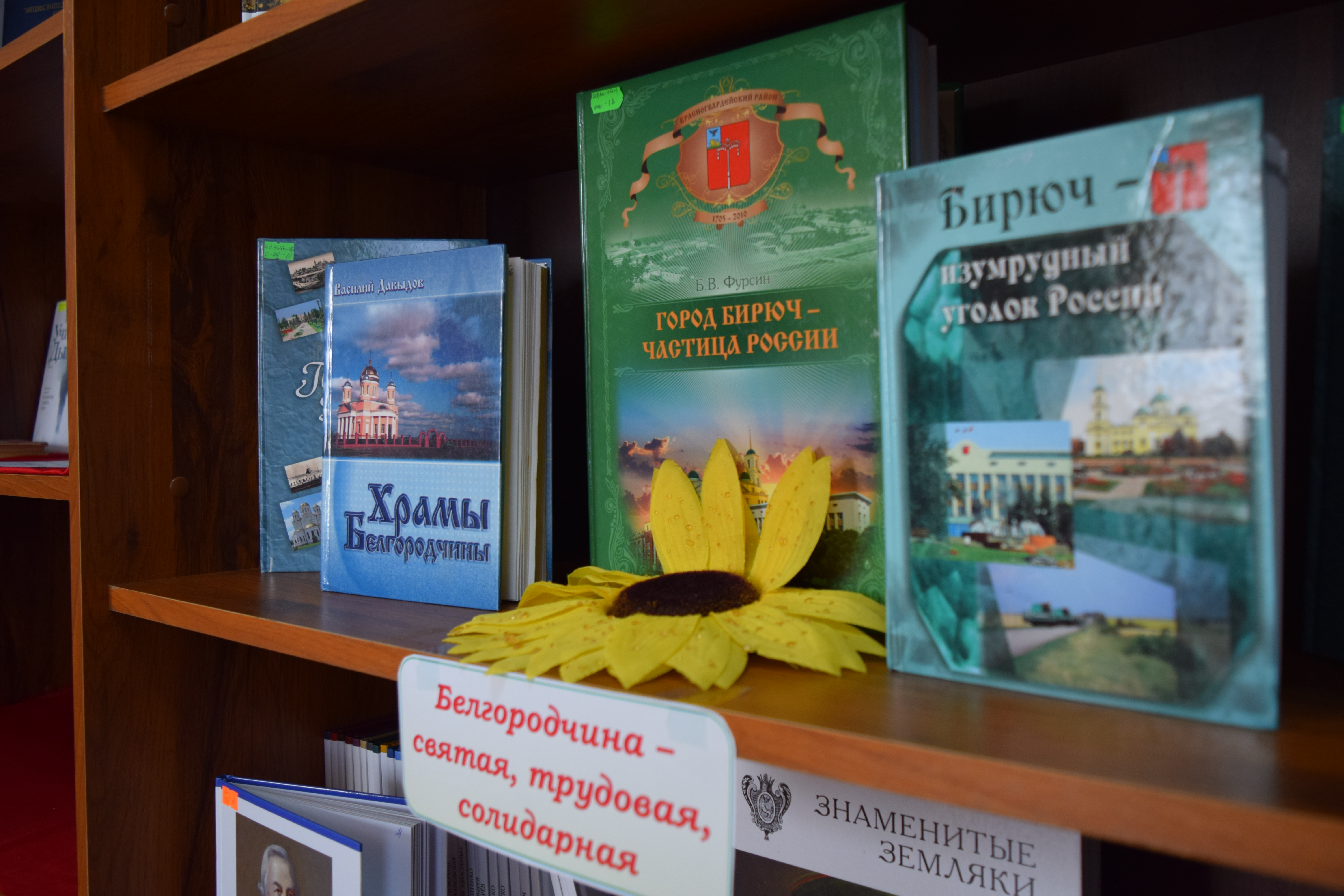 36 библиотек находятся на территории Красногвардейского района