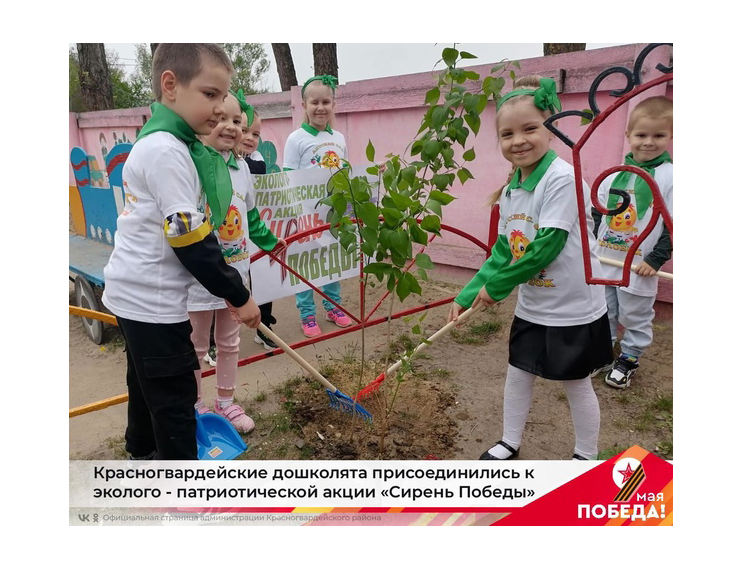 Красногвардейские дошколята присоединились к эколого - патриотической акции «Сирень Победы».