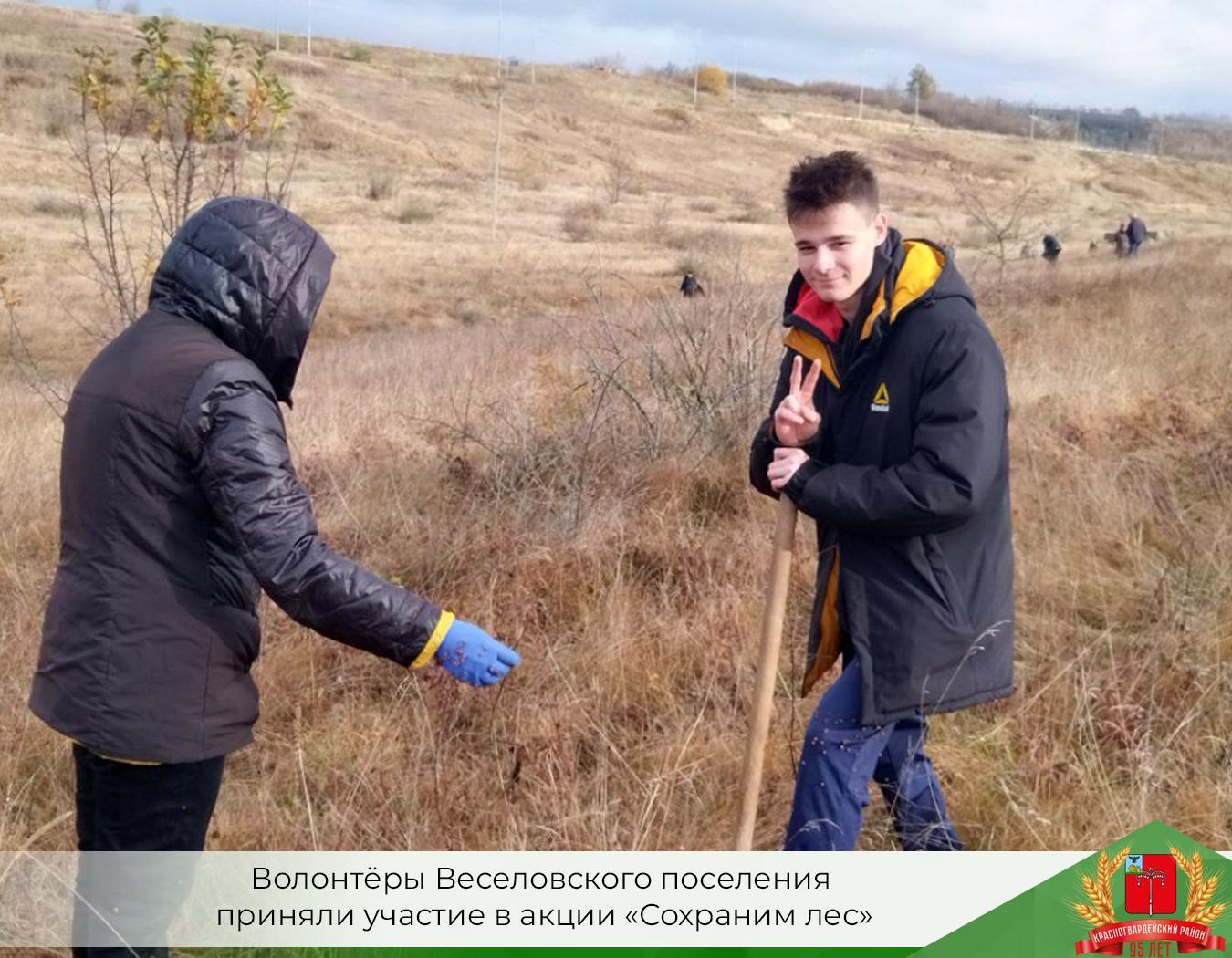 Волонтёры Веселовского поселения приняли участие в акции «Сохраним лес».