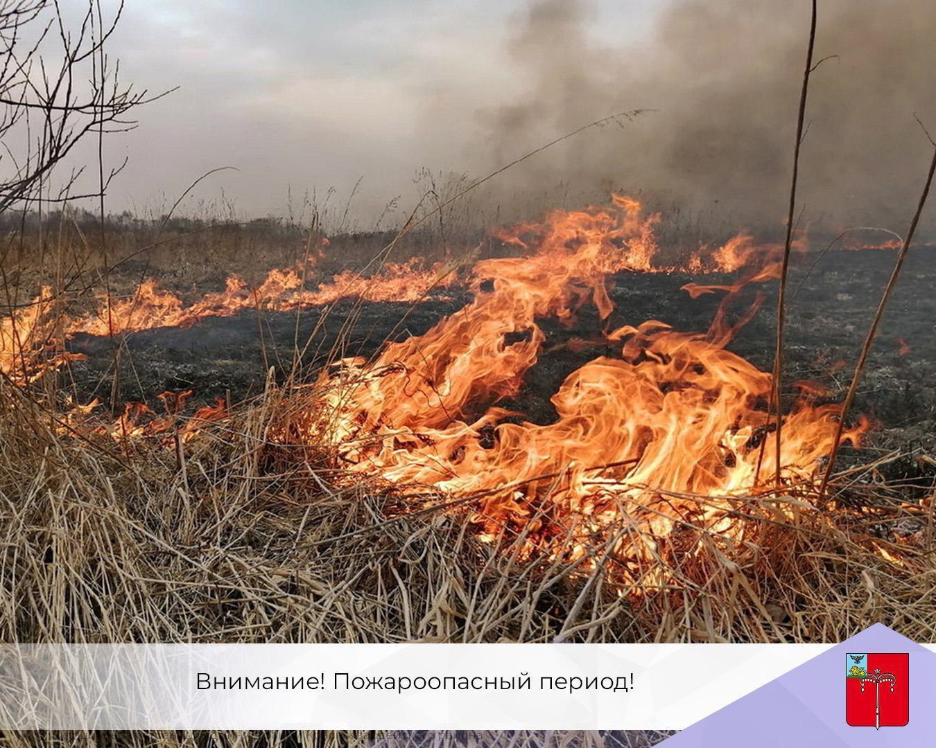 Ежегодно в осенний период пожарные подразделения Белгородской области ликвидируют последствия возгораний сухой травы и мусора.