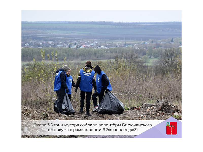 Около 3,5 тонн мусора собрали волонтёры Бирючанского техникума в рамках акции # Экочеллендж31
