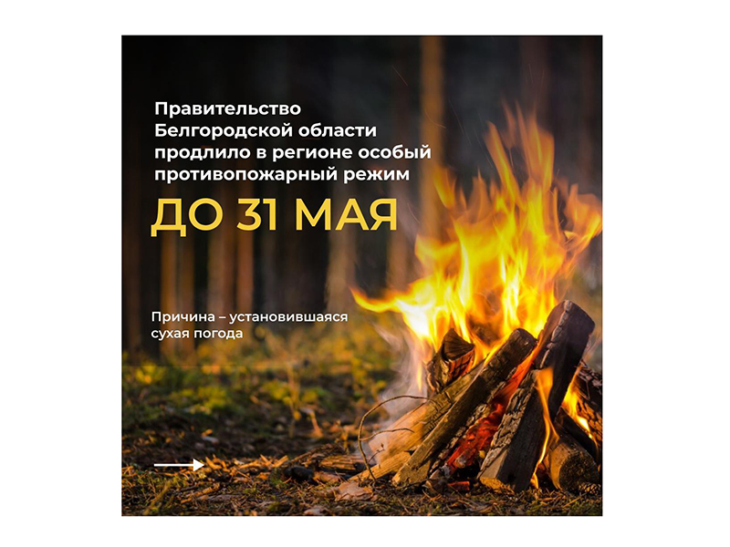 Жители Белгородской области могут получить штраф до 50 тыс. рублей за нарушение особого противопожарного режима