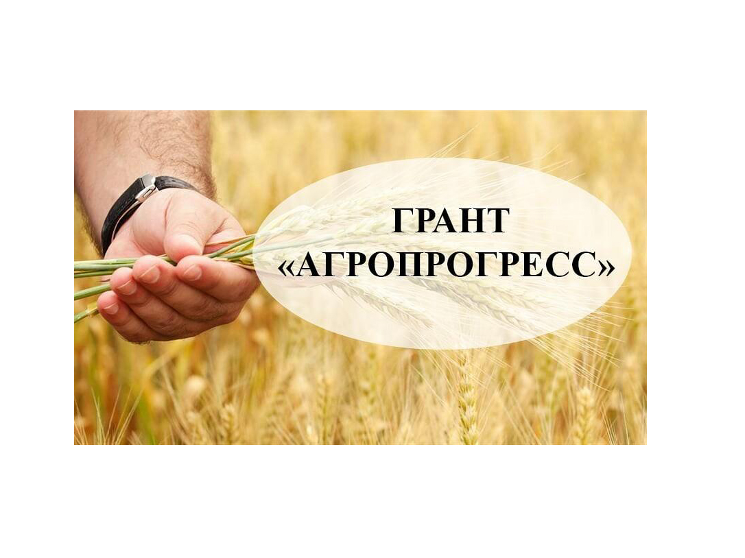 Сельхозпроизводители могут получить грант «Агропрогресс».