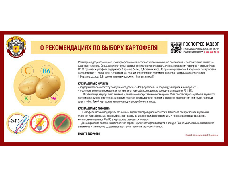 Рекомендации гражданам по выбору картофеля.