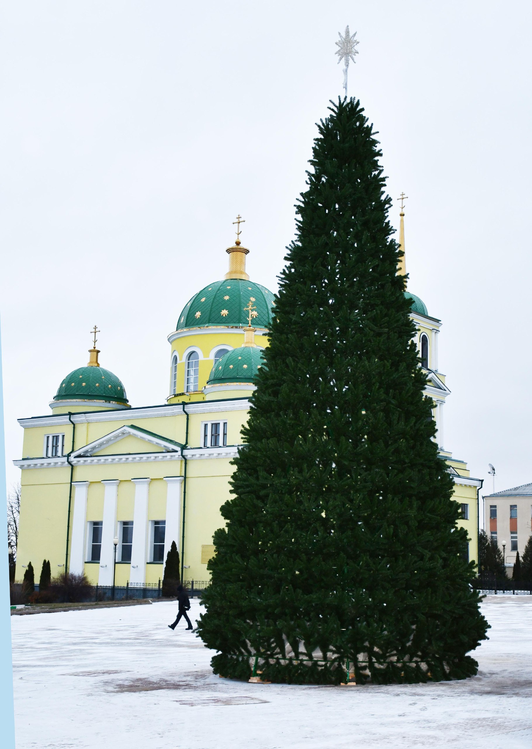 Наша ёлочка растёт.