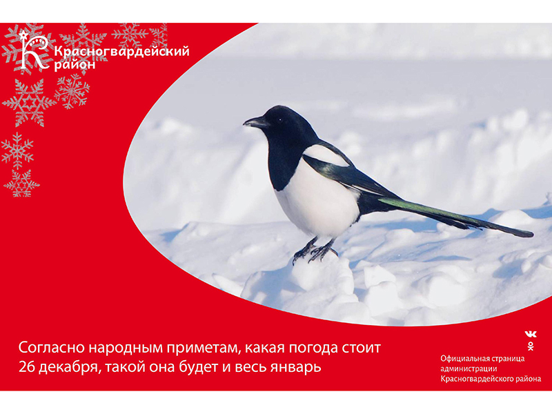 #Авызнали, что согласно народным приметам, какая погода стоит 26 декабря, такой она будет и весь январь?.