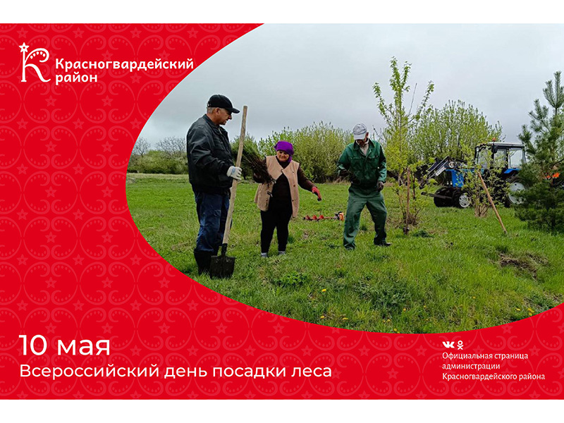 #аВыЗнали, что площадь лесов в России составляет около 1 188,3 млн га?.