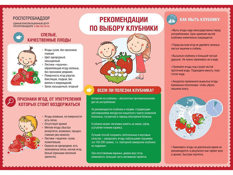 Рекомендации по выбору клубники.