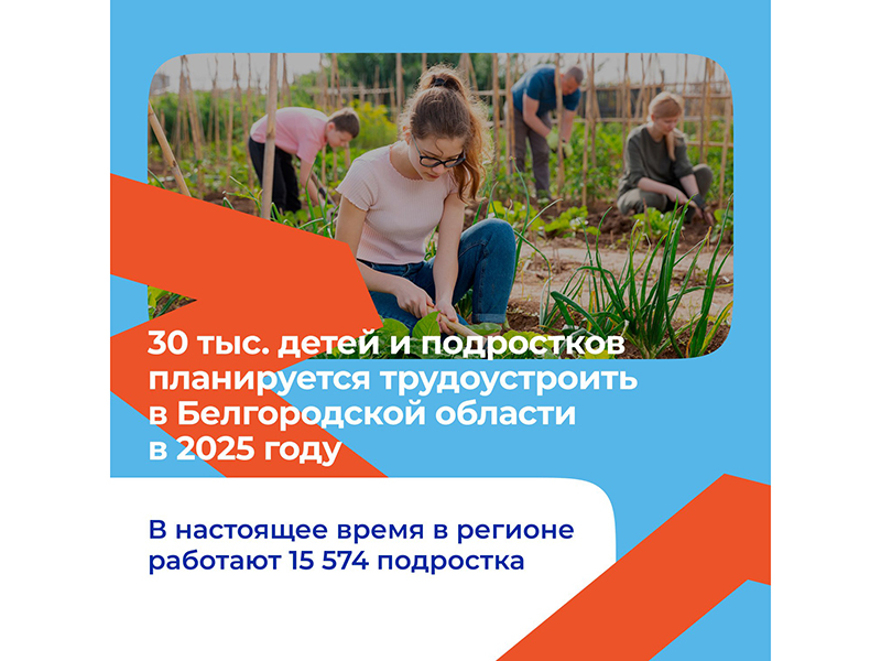 В 2025 году в Белгородской области планируется трудоустроить около 30 тыс. детей и подростков.