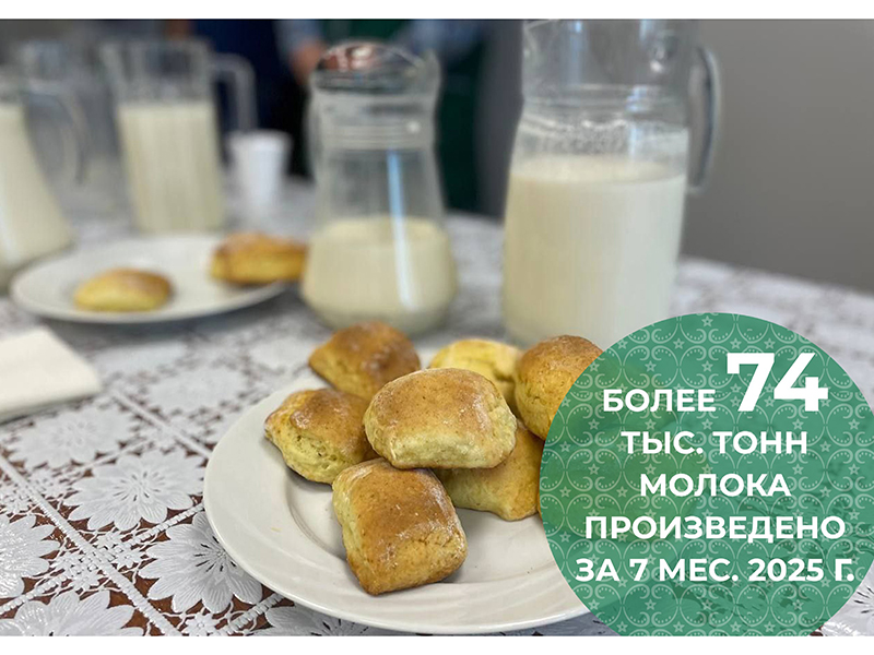 #аВыЗнали, что всеми категориями хозяйств за семь месяцев 2025 года произведено более 74 тысяч тонн молока, что составляет 106 % к уровню периода прошлого года?.