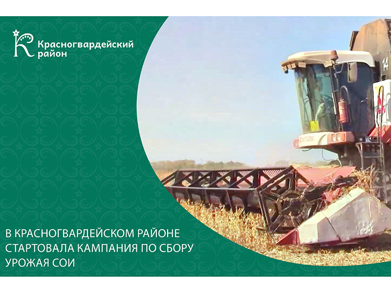 В Красногвардейском районе стартовала кампания по сбору урожая сои.
