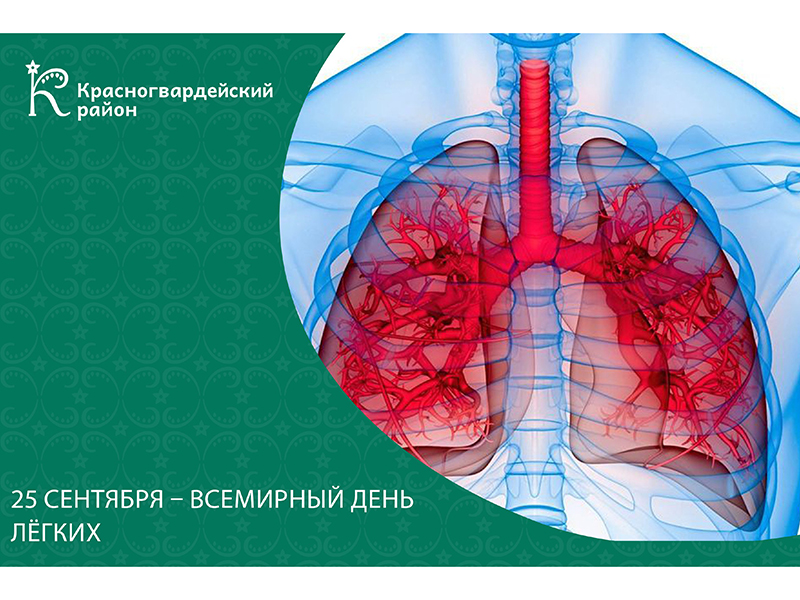 #аВыЗнали, что это лёгкие – это единственный орган, который при погружении в воду не тонет, а остается на поверхности?.