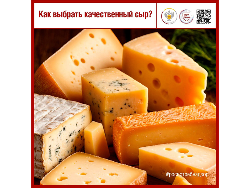 Роспотребнадзор рассказывает, как выбрать сыр.