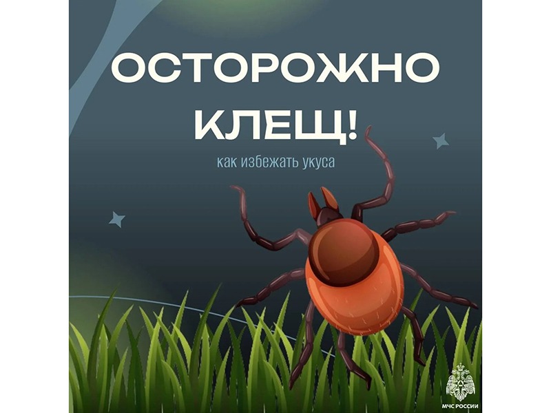 Осторожно: клещи.