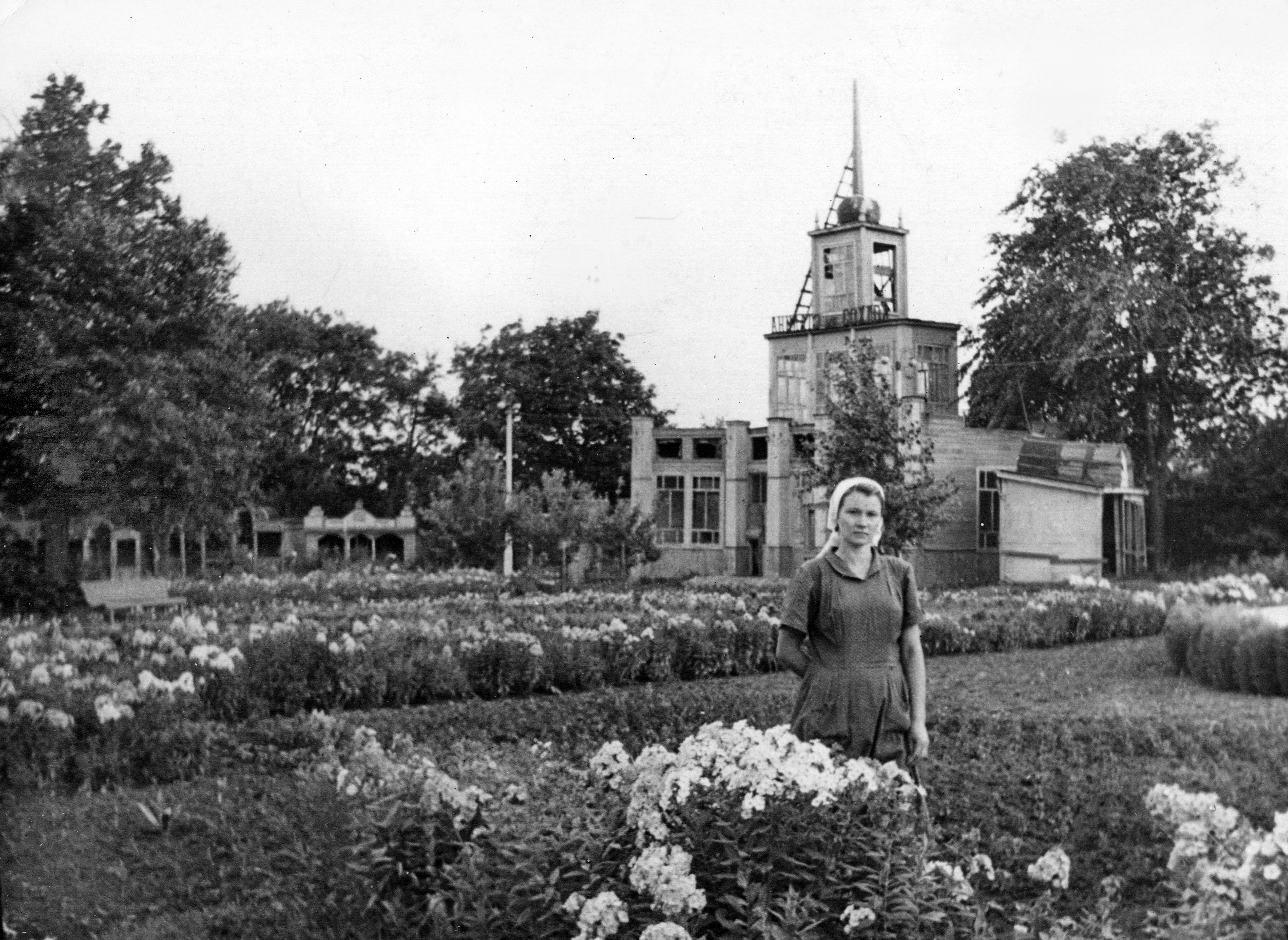 Павильоны районной сельскохозяйственной выставки 1956 год