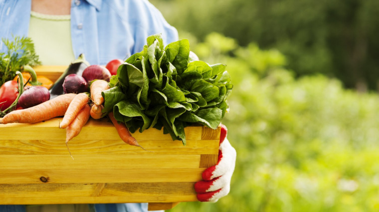 Закупка излишков продукции у населения и реализация его на внутреннем рынке – актуальный вопрос на сегодняшний день. Закупка излишков продукции у населения и реализация его на внутреннем рынке – актуальный вопрос на сегодняшний день.