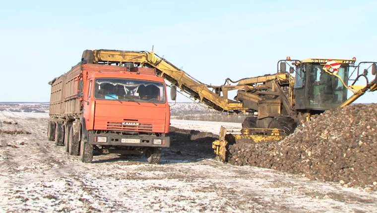 Морозная погода не препятствует уборке урожая с полей. Морозная погода не препятствует уборке урожая с полей.