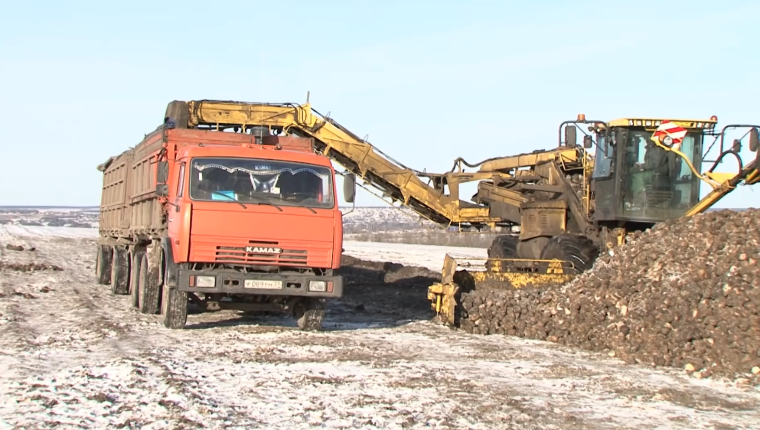 Морозная погода  не препятствует уборке урожая с полей.