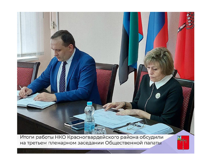 Итоги работы НКО Красногвардейского района обсудили на третьем пленарном заседании Общественной палаты.