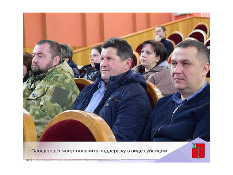 Овощеводы могут получить поддержку в виде субсидии. Овощеводы могут получить поддержку в виде субсидии.