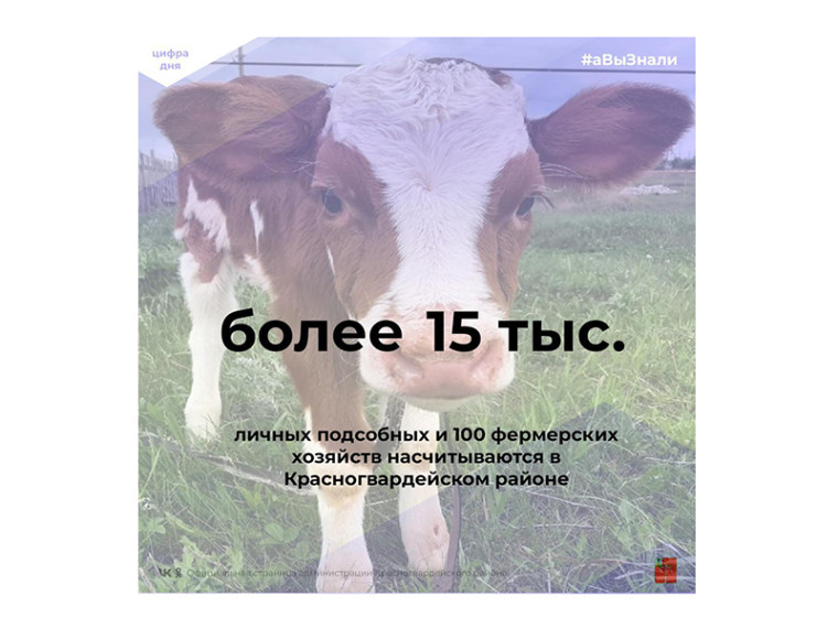 #аВыЗнали, что более 15 тыс. личных подсобных и 100 фермерских хозяйств насчитываются в Красногвардейском районе?. #аВыЗнали, что более 15 тыс. личных подсобных и 100 фермерских хозяйств насчитываются в Красногвардейском районе?.