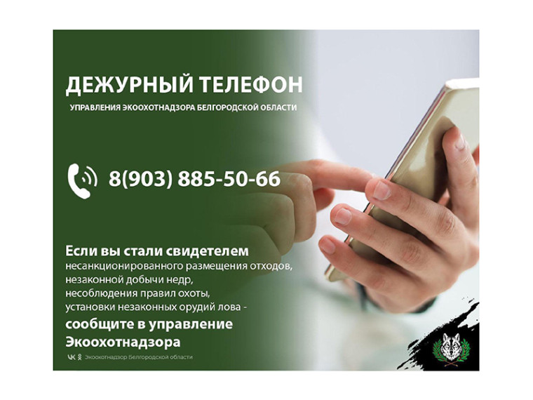 Если вы заметили, что кто-то выбросил мусор в неположенном месте. Если вы заметили, что кто-то выбросил мусор в неположенном месте.