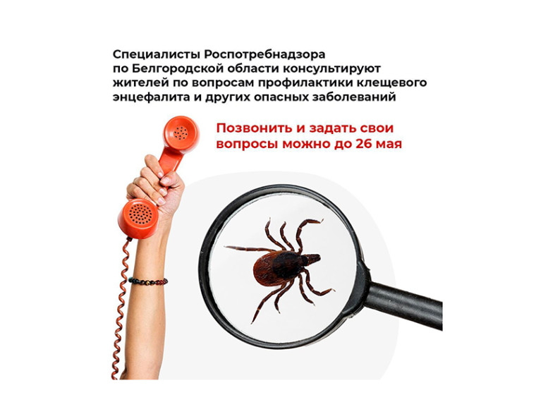 Красногвардейцы могут получить консультацию по профилактике клещевого энцефалита на горячей линии Роспотребнадзора — 8 800 555-49-43. Красногвардейцы могут получить консультацию по профилактике клещевого энцефалита на горячей линии Роспотребнадзора — 8 800 555-49-43.