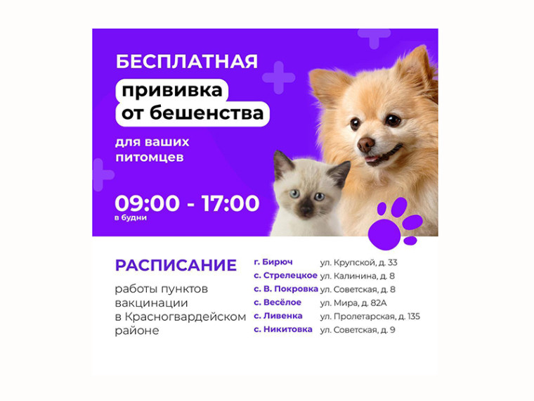В Красногвардейском районе можно сделать бесплатную прививку от бешенства для домашних животных. В Красногвардейском районе можно сделать бесплатную прививку от бешенства для домашних животных.