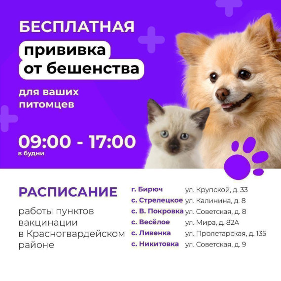 Напоминаем, что в Красногвардейском районе можно сделать бесплатную прививку от бешенства для домашних животных. Напоминаем, что в Красногвардейском районе можно сделать бесплатную прививку от бешенства для домашних животных.