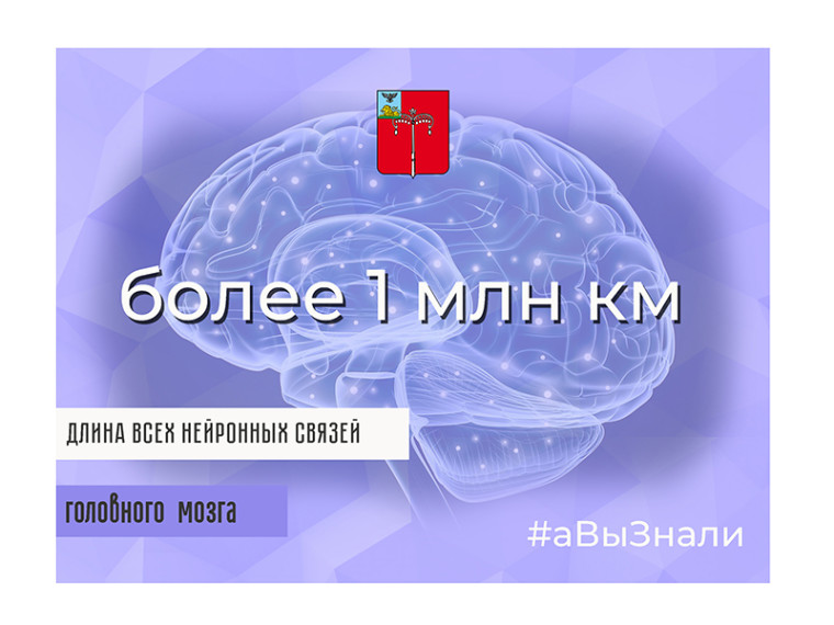 #аВыЗнали, что сегодня отмечается Всемирный день головного мозга?. #аВыЗнали, что сегодня отмечается Всемирный день головного мозга?.