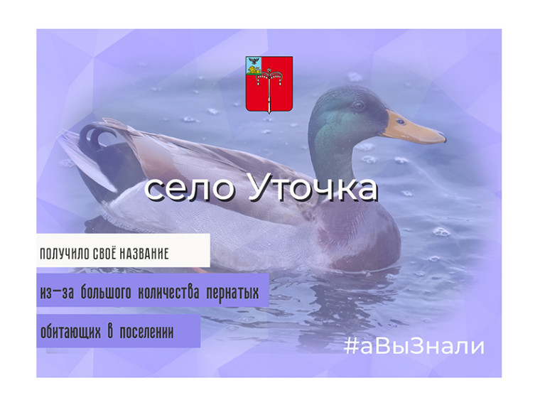 #аВыЗнали. #аВыЗнали.