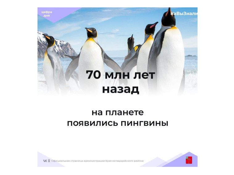 #аВыЗнали, что пингвины появились 70 млн лет назад, застав даже динозавров?.