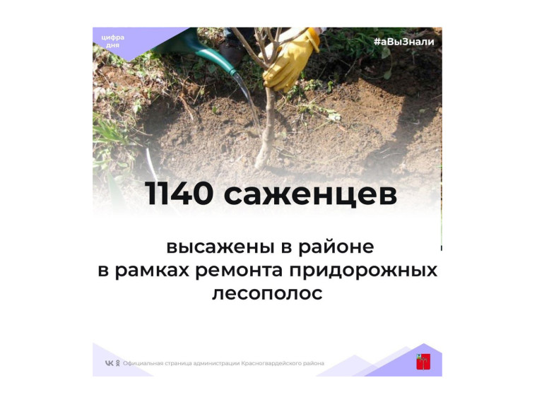 #аВыЗнали, что в рамках ремонта придорожных лесополос в районе высажено 1140 саженцев?. #аВыЗнали, что в рамках ремонта придорожных лесополос в районе высажено 1140 саженцев?.
