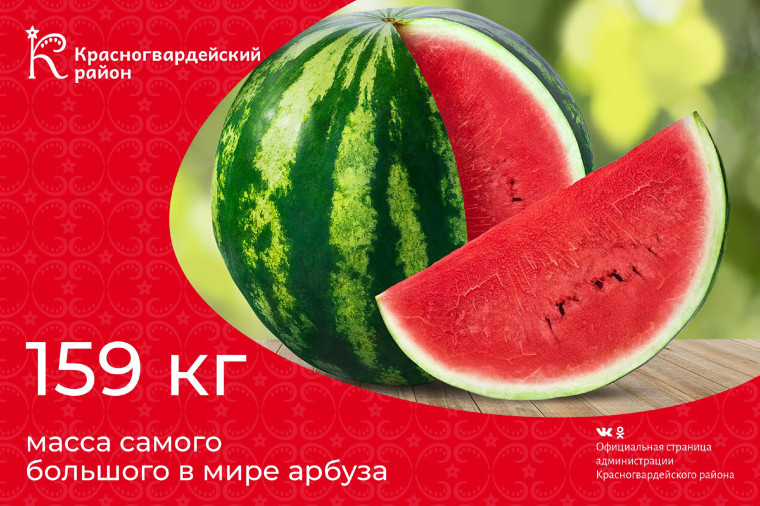 #аВыЗнали, что 159 кг – масса самого большого в мире арбуза?. #аВыЗнали, что 159 кг – масса самого большого в мире арбуза?.