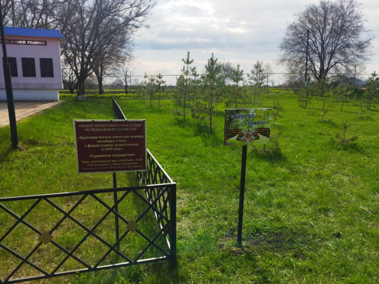 На территории Красногвардейского района проводятся работы по благоустройству скверов и аллей «Дерево Памяти».