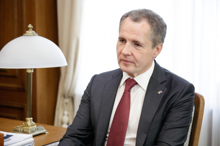 Вячеслав Гладков встретился с заместителем руководителя Федерального казначейства Эли Исаевым.