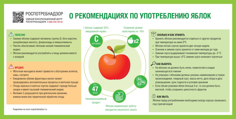 Рекомендации по выбору и употреблению яблок.