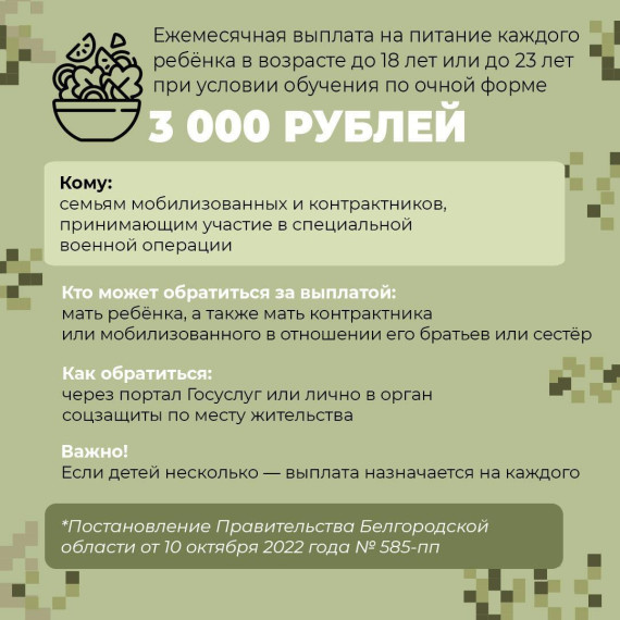 В Белгородской области действуют сразу несколько региональных мер поддержки военнослужащих, мобилизованных и тех, кто решил пойти служить по контракту.