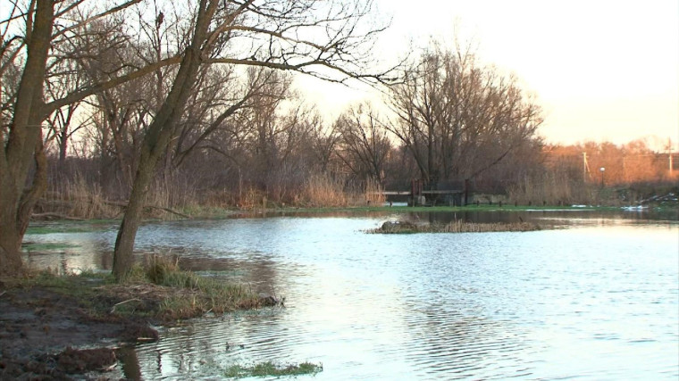 В Бирюче прошла общественная приёмка работ по очистке реки Тихая Сосна.