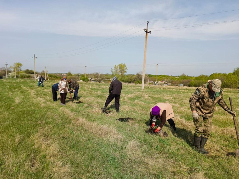 Красногвардейский район присоединился к эколого-патриотической акции «Сад Памяти».