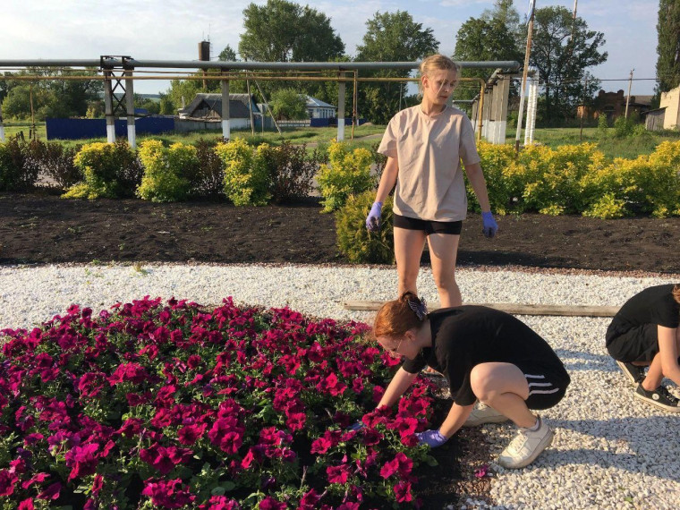 Учреждения образования района организовывают досуг для школьников.