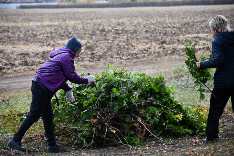 На территории Красногвардейского района продолжаются экологические субботники.