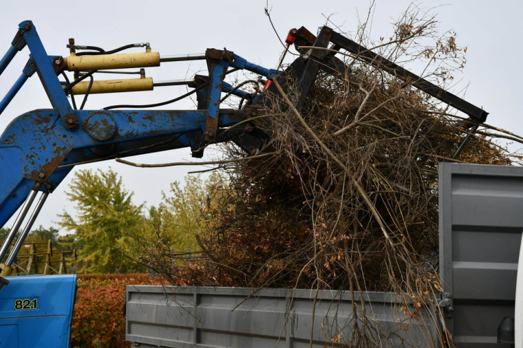На территории Красногвардейского района продолжаются экологические субботники.